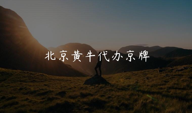 北京黄牛代办京牌