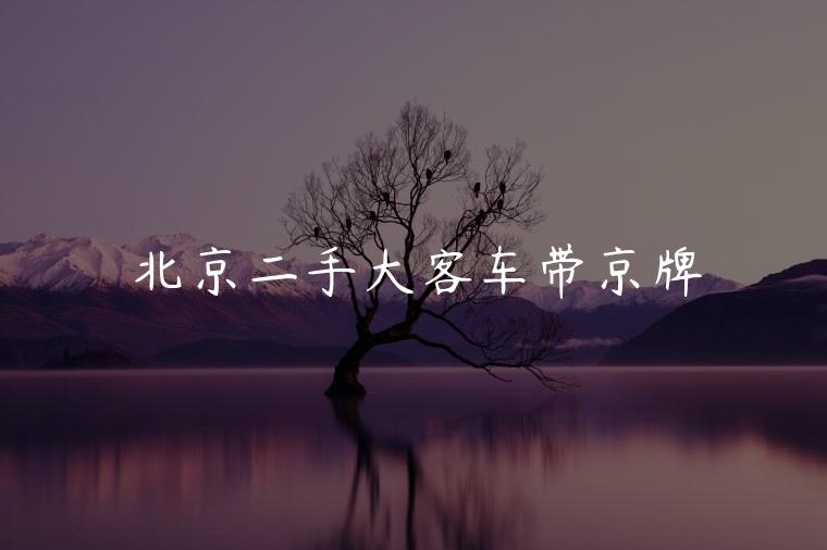 北京二手大客车带京牌