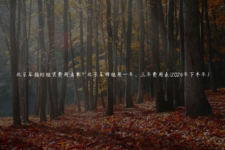 北京车指标租赁费用清单？北京车牌租用一年、三年费用表(2024年下半年）