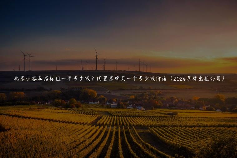 北京小客车指标租一年多少钱？闲置京牌买一个多少钱价格（2024京牌出租公司）