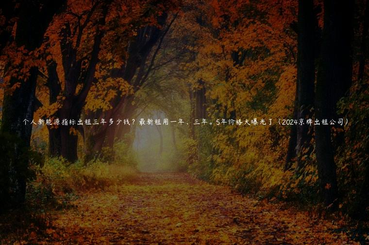 个人新能源指标出租三年多少钱？最新租用一年、三年。5年价格大曝光了（2024京牌出租公司）