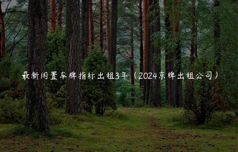 最新闲置车牌指标出租3年（2024京牌出租公司）
