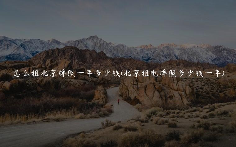 怎么租北京牌照一年多少钱(北京租电牌照多少钱一年)