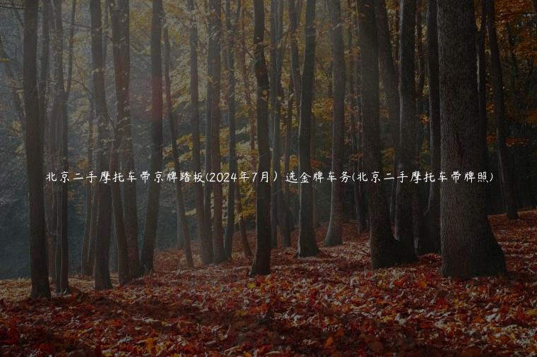 北京二手摩托车带京牌踏板(2024年7月）选金牌车务(北京二手摩托车带牌照)
