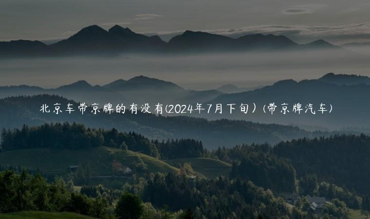 北京车带京牌的有没有(2024年7月下旬）(带京牌汽车)