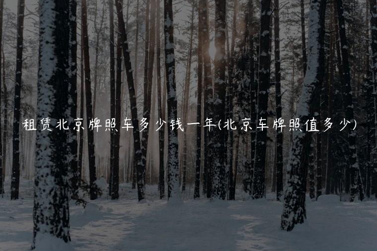 租赁北京牌照车多少钱一年(北京车牌照值多少)