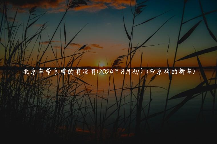 北京车带京牌的有没有(2024年8月初）(带京牌的新车)