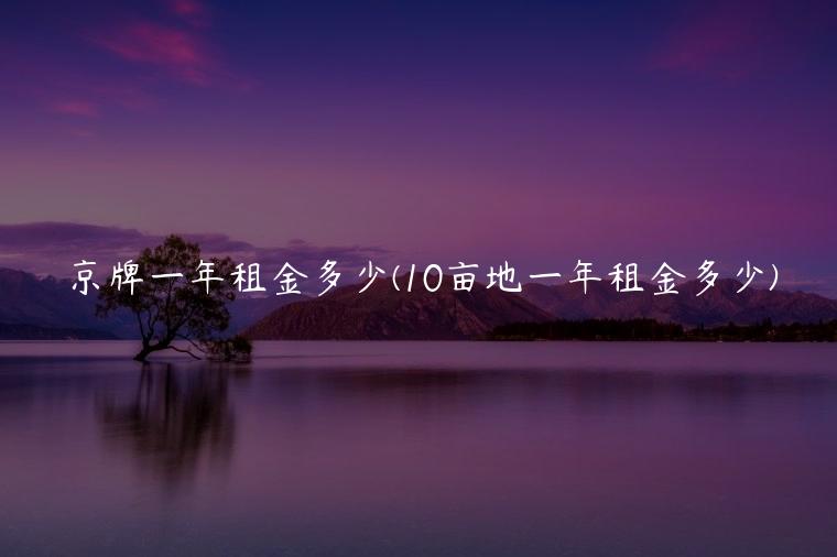 京牌一年租金多少(10亩地一年租金多少)