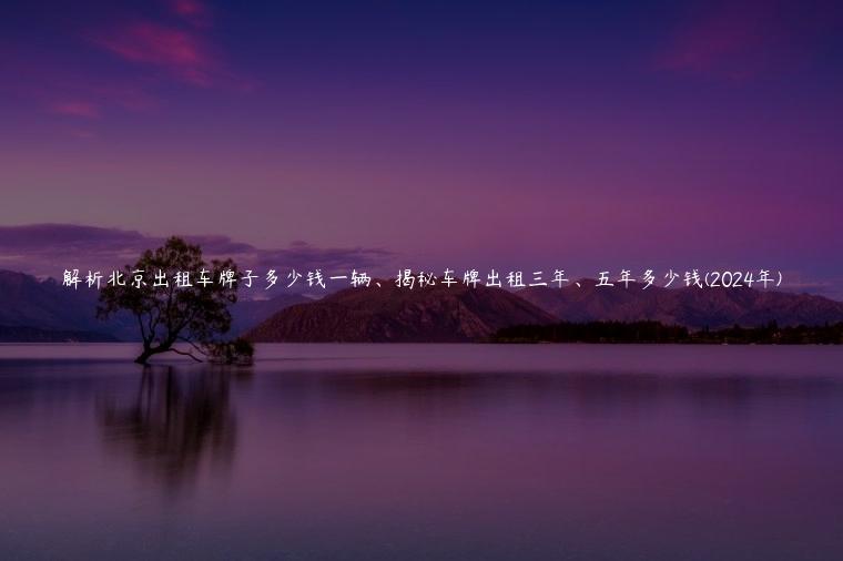 解析北京出租车牌子多少钱一辆、揭秘车牌出租三年、五年多少钱(2024年)