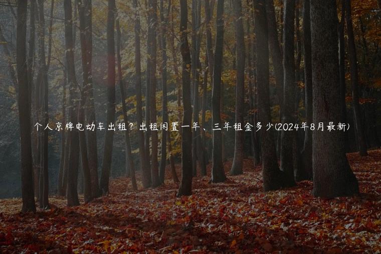 个人京牌电动车出租？出租闲置一年、三年租金多少(2024年8月最新)