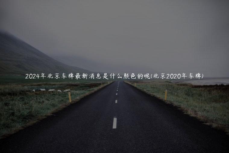 2024年北京车牌最新消息是什么颜色的呢(北京2020年车牌)