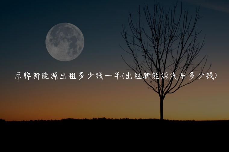 京牌新能源出租多少钱一年(出租新能源汽车多少钱)