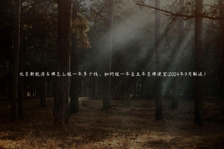 北京新能源车牌怎么租一年多少钱、如何租一年至五年京牌便宜(2024年9月解读）