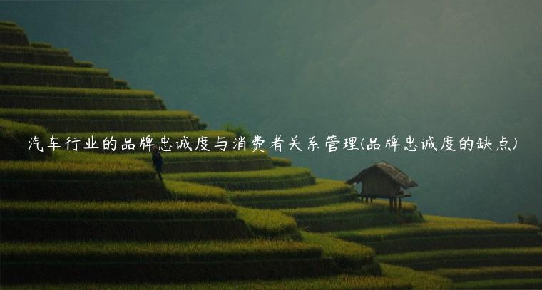 汽车行业的品牌忠诚度与消费者关系管理(品牌忠诚度的缺点)