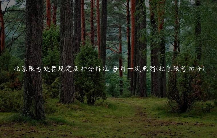 北京限号处罚规定及扣分标准 每月一次免罚(北京限号扣分)