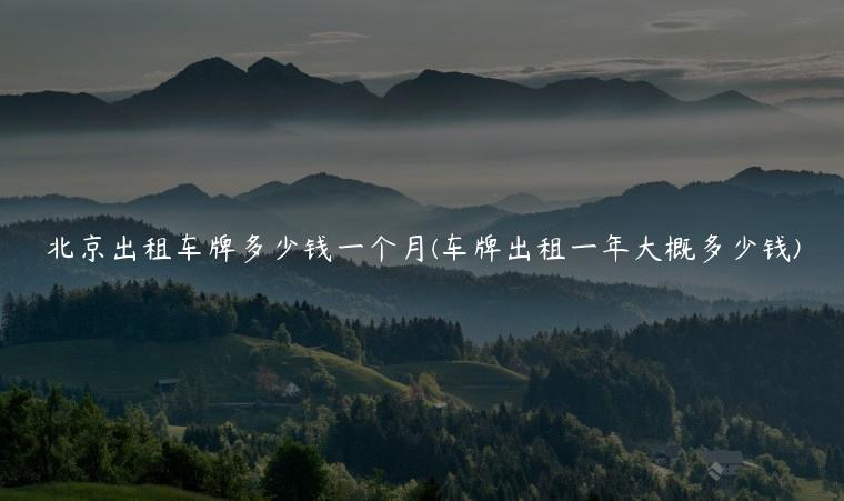 北京出租车牌多少钱一个月(车牌出租一年大概多少钱)