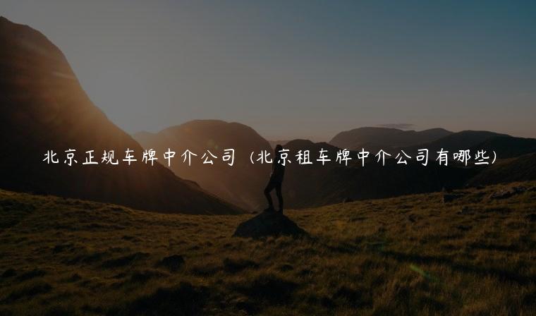 北京正规车牌中介公司  (北京租车牌中介公司有哪些)