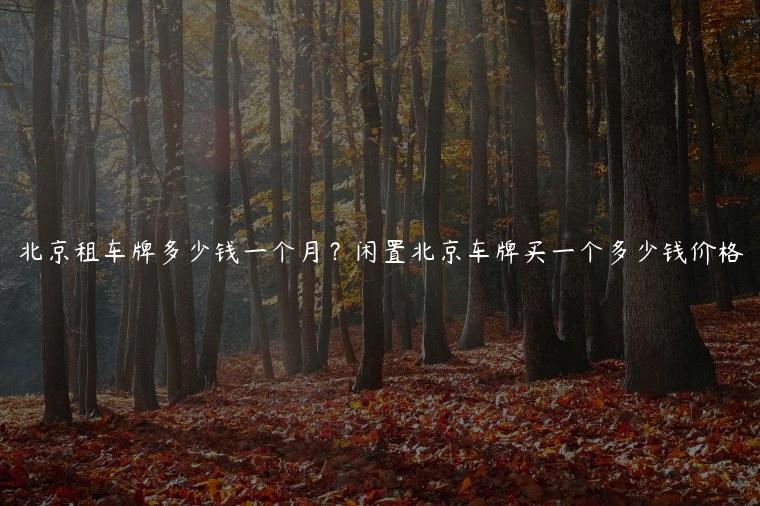 北京租车牌多少钱一个月？闲置北京车牌买一个多少钱价格