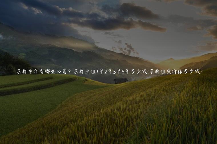 京牌中介有哪些公司？京牌出租1年2年3年5年多少钱(京牌租赁价格多少钱)