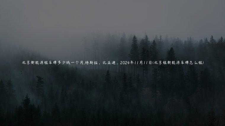北京新能源租车牌多少钱一个月,特斯拉，比亚迪，2024年11月11日(北京租新能源车牌怎么租)