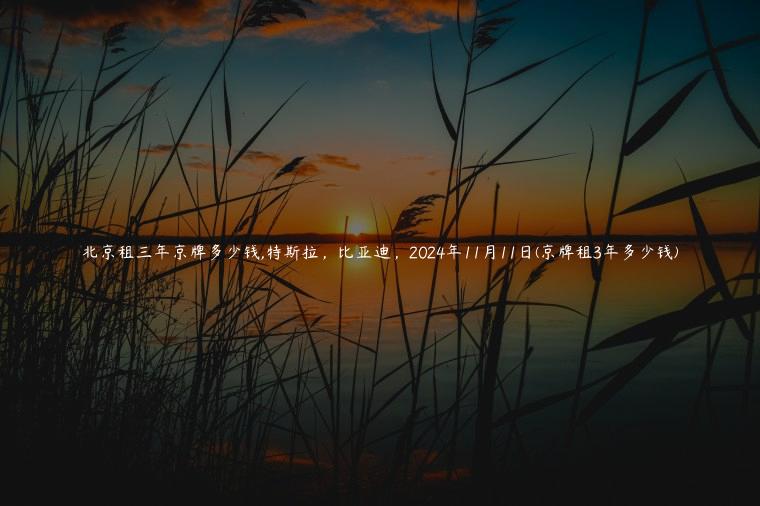 北京租三年京牌多少钱,特斯拉，比亚迪，2024年11月11日(京牌租3年多少钱)