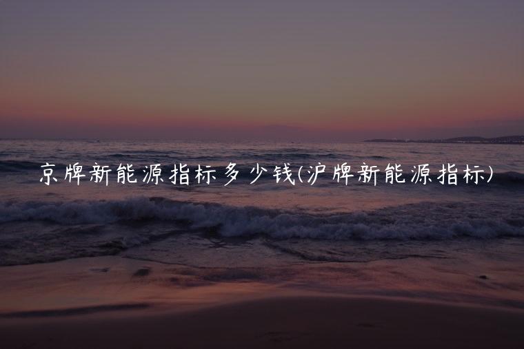 京牌新能源指标多少钱(沪牌新能源指标)