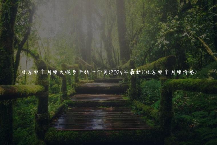 北京租车月租大概多少钱一个月(2024年最新)(北京租车月租价格)