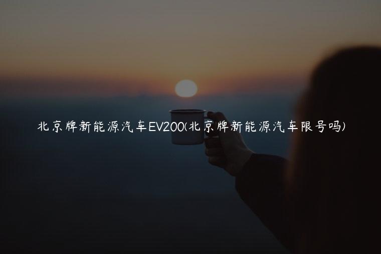北京牌新能源汽车EV200(北京牌新能源汽车限号吗)