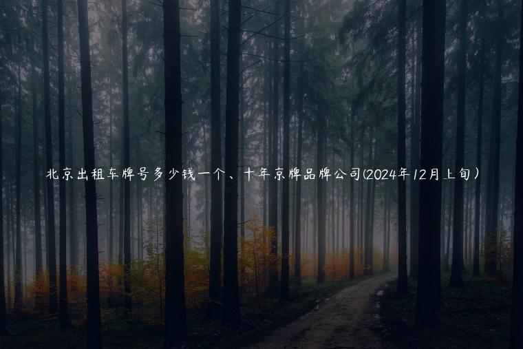 北京出租车牌号多少钱一个、十年京牌品牌公司(2024年12月上旬）