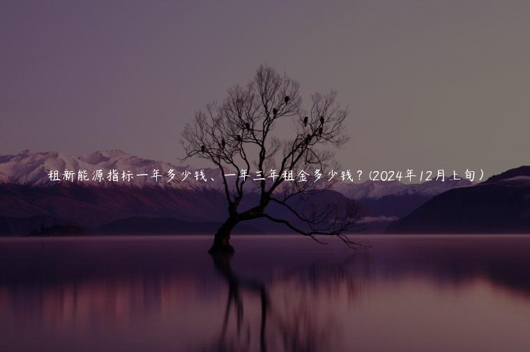 租新能源指标一年多少钱、一年三年租金多少钱？(2024年12月上旬）