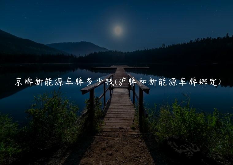 京牌新能源车牌多少钱(沪牌和新能源车牌绑定)