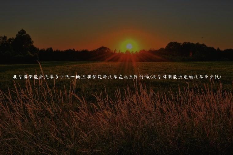 北京牌新能源汽车多少钱一辆(京牌新能源汽车在北京限行吗)(北京牌新能源电动汽车多少钱)