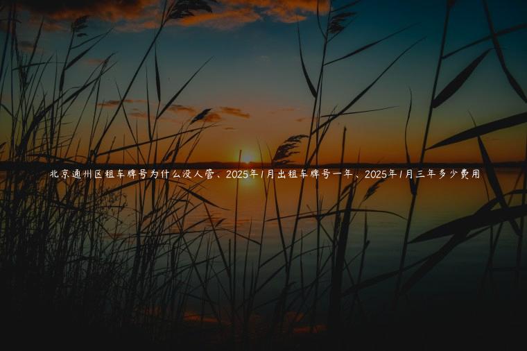 北京通州区租车牌号为什么没人管、2025年1月出租车牌号一年、2025年1月三年多少费用