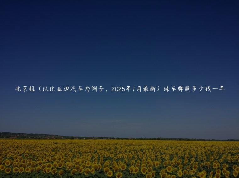 北京租（以比亚迪汽车为例子，2025年1月最新）绿车牌照多少钱一年
