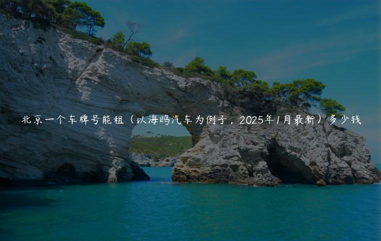 北京一个车牌号能租（以海鸥汽车为例子，2025年1月最新）多少钱