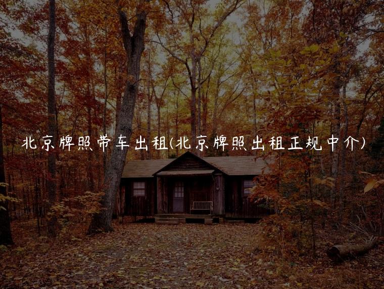 北京牌照带车出租(北京牌照出租正规中介)