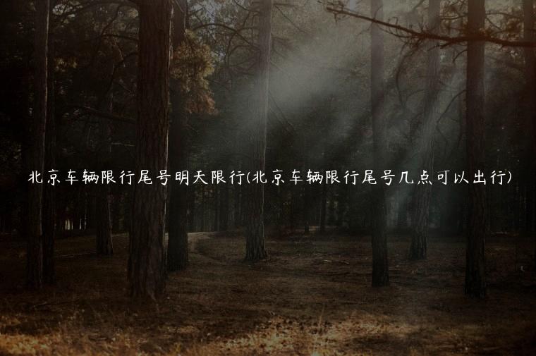 北京车辆限行尾号明天限行(北京车辆限行尾号几点可以出行)