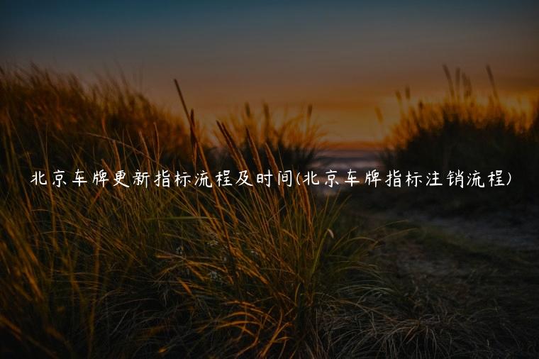 北京车牌更新指标流程及时间(北京车牌指标注销流程)