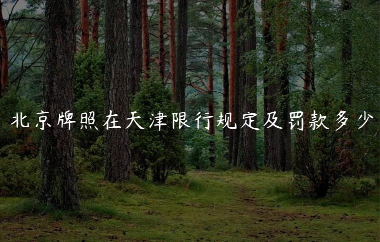 北京牌照在天津限行规定及罚款多少