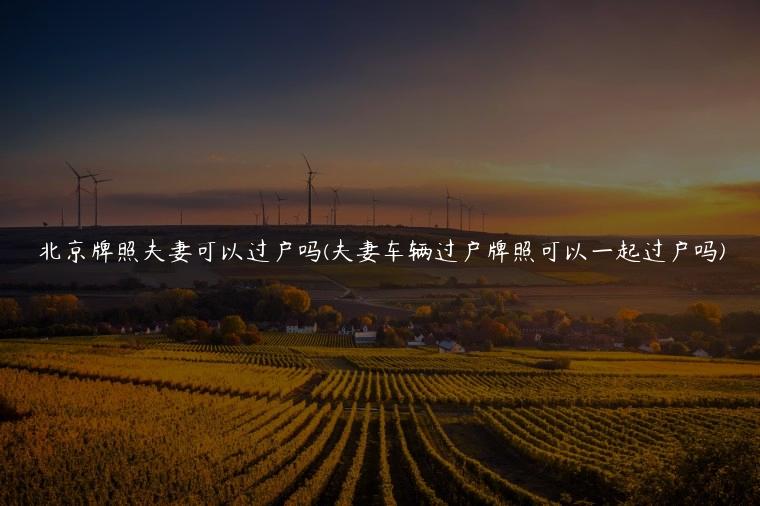 北京牌照夫妻可以过户吗(夫妻车辆过户牌照可以一起过户吗)