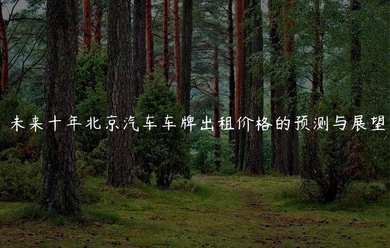 未来十年北京汽车车牌出租价格的预测与展望