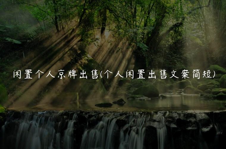 闲置个人京牌出售(个人闲置出售文案简短)