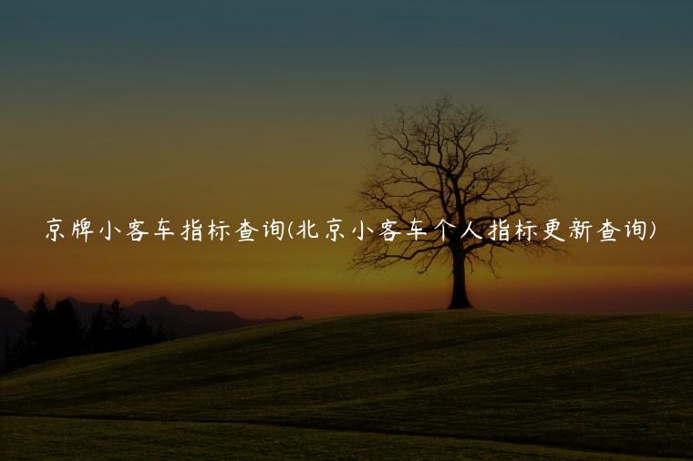 京牌小客车指标查询(北京小客车个人指标更新查询)