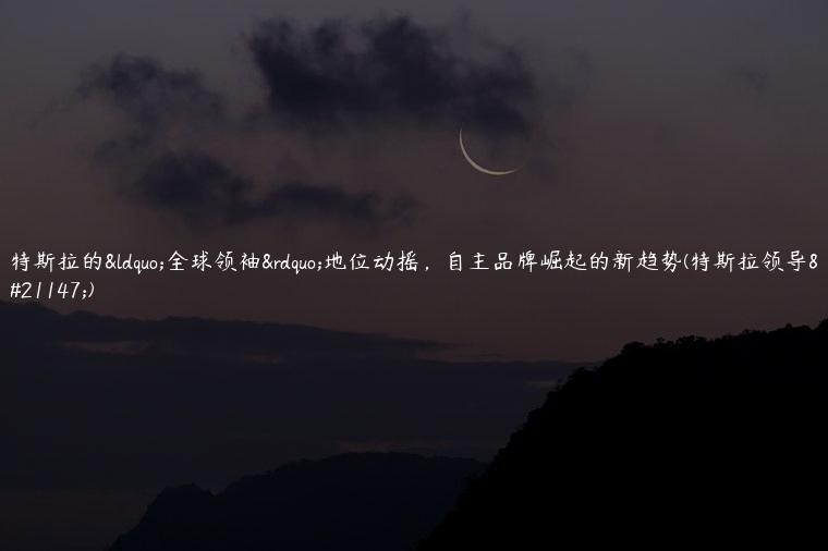 特斯拉的“全球领袖”地位动摇，自主品牌崛起的新趋势(特斯拉领导力)