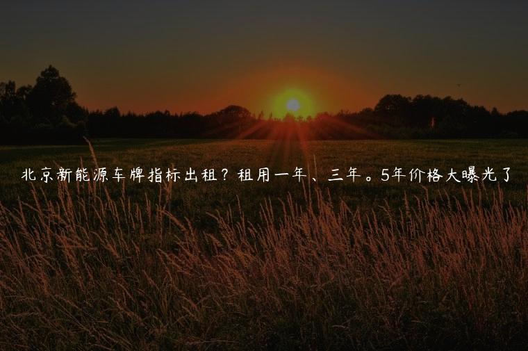 北京新能源车牌指标出租？租用一年、三年。5年价格大曝光了