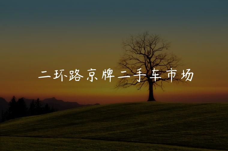 二环路京牌二手车市场