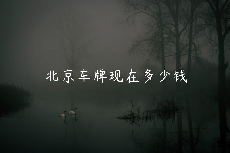 北京车牌现在多少钱