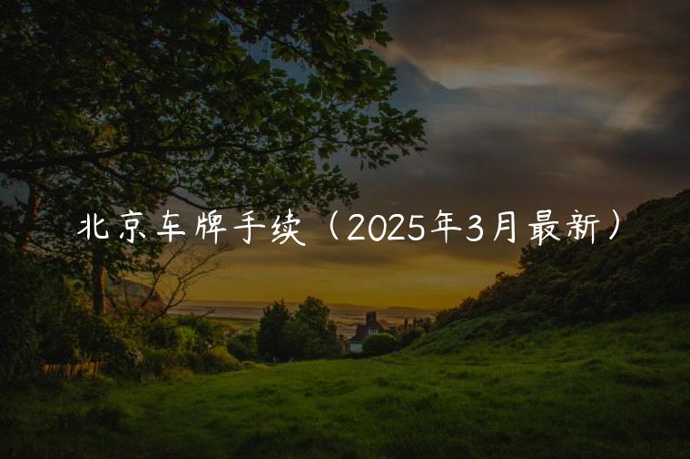 北京车牌手续（2025年3月最新）