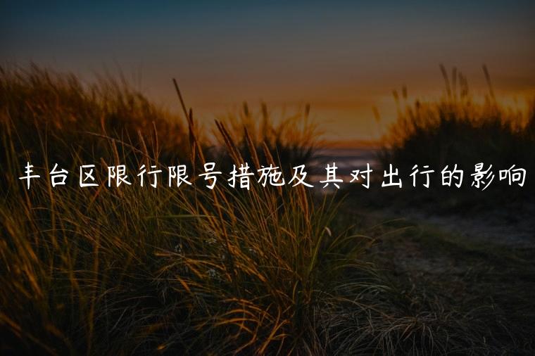 丰台区限行限号措施及其对出行的影响