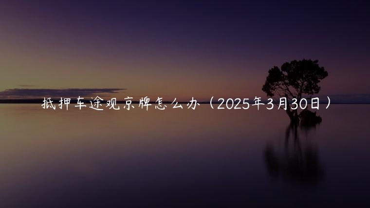 抵押车途观京牌怎么办（2025年3月30日）